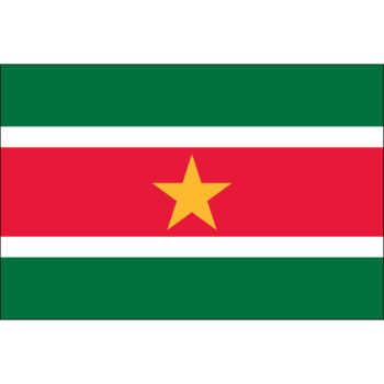 Suriname (UN OAS)
