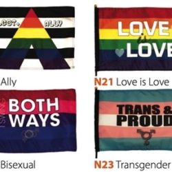 Pride Stick Flags