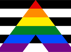 Ally Flag 3' x 5'