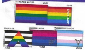 Ally Flag 3' x 5' - Image 2